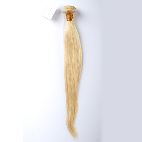 Platinum Blonde Straight - Silver Collection Plus 9A